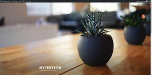Basic WordPress Home Page